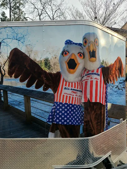 All American Heating & Air primary photo