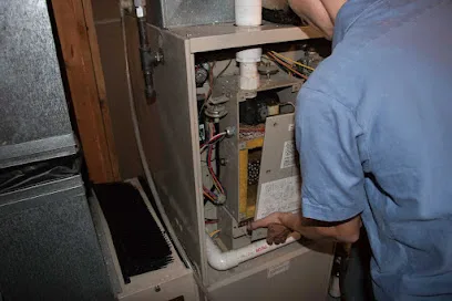 Best Brooklyn primary photo