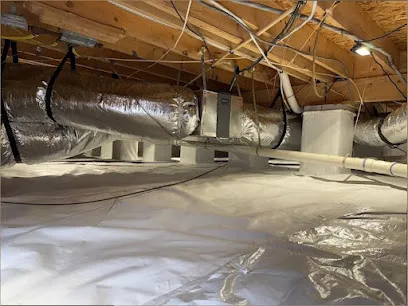 Domingo & Sons primary photo