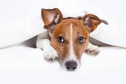 Fahrenheit Heating And Cooling LLC