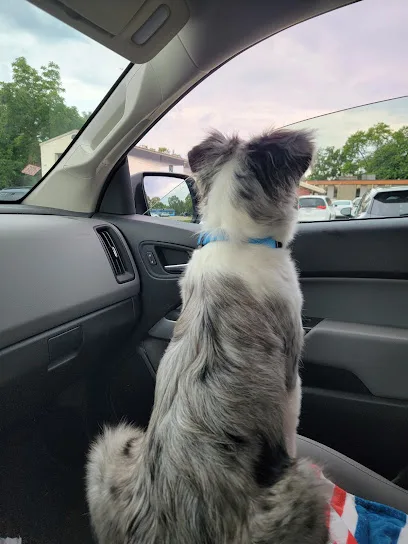 Grand Rapids Heat & Air Conditioning primary photo