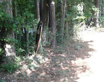 Mobley Mechanical primary photo