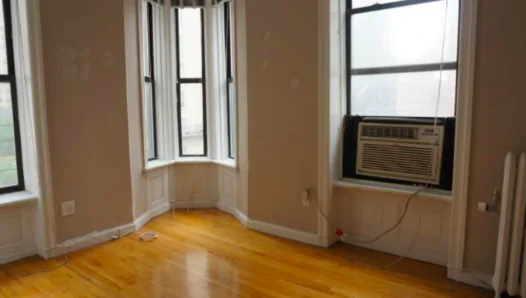 NYC PIGEON AIR CONDITIONER