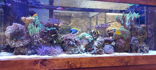 Richmond Brothers Mechanical primary photo