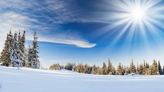 Tracey Energy Services LLC